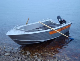Лодка Wellboat 42